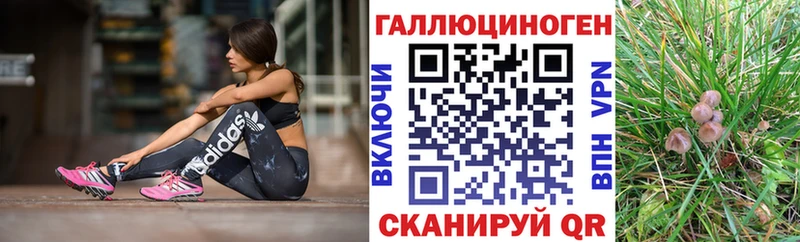 Псилоцибиновые грибы MAGIC MUSHROOMS  купить наркотик  Ахтырский 